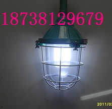 防爆冷庫燈高清圖片 高清大圖